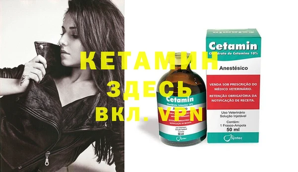 крисы Верея