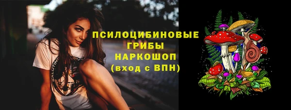 крисы Верея