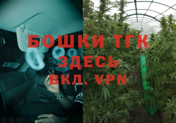 бошки Верхний Тагил
