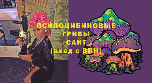 бошки Верхний Тагил