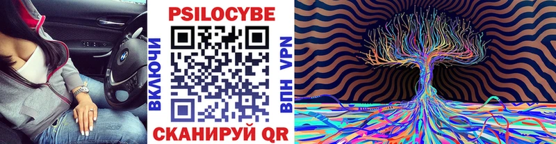 Псилоцибиновые грибы Cubensis Вичуга
